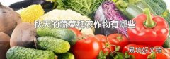 秋天的蔬菜和农作物有哪些