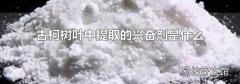 古柯树叶中提取的兴奋剂是什么