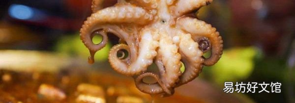 大八爪鱼煮多长时间熟