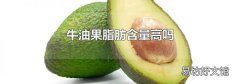 牛油果脂肪含量高吗