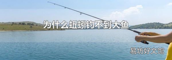 为什么蚯蚓钓不到大鱼