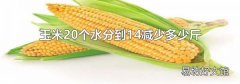 玉米20个水分到14减少多少斤