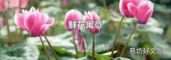 鲜花寓意