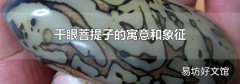 千眼菩提子的寓意和象征