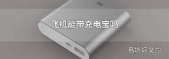 飞机能带充电宝吗