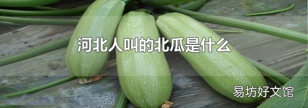 河北人叫的北瓜是什么