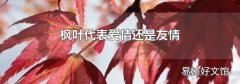枫叶代表爱情还是友情