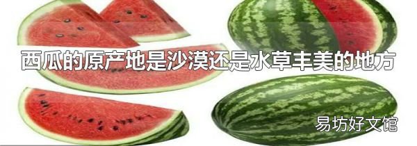 西瓜的原产地是沙漠还是水草丰美的地方