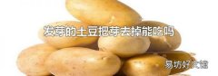 发芽的土豆把芽去掉能吃吗