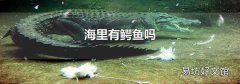 海里有鳄鱼吗