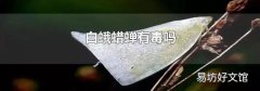 白蛾蜡蝉有毒吗