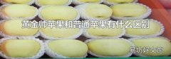 黄金帅苹果和普通苹果有什么区别