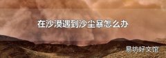 在沙漠遇到沙尘暴怎么办