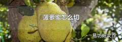 菠萝蜜怎么切