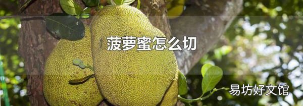 菠萝蜜怎么切