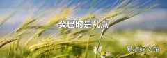 癸巳时是几点