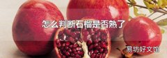 怎么判断石榴是否熟了