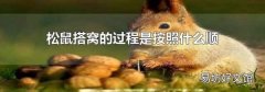 松鼠搭窝的过程是按照什么顺序来的