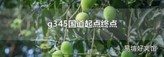 g345国道起点终点