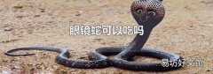 眼镜蛇可以吃吗
