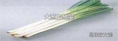大葱的热量