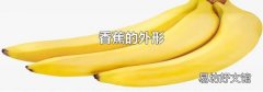 香蕉的外形