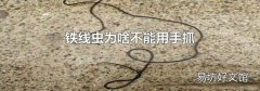 铁线虫为啥不能用手抓