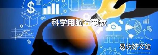 科学用脑五要素