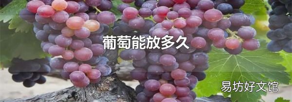 葡萄能放多久
