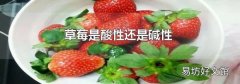草莓是酸性还是碱性