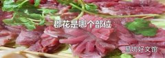 郡花是哪个部位