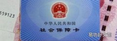 怎么查询社保缴费记录