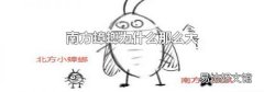 南方蟑螂为什么那么大