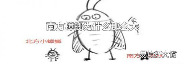 南方蟑螂为什么那么大