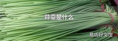 蒜薹是什么