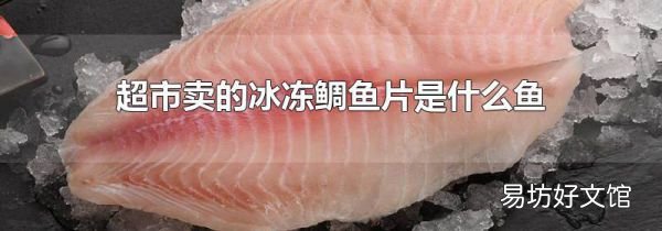 超市卖的冰冻鲷鱼片是什么鱼
