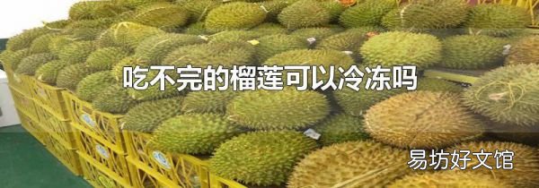 吃不完的榴莲可以冷冻吗