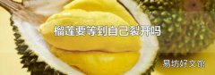 榴莲要等到自己裂开吗