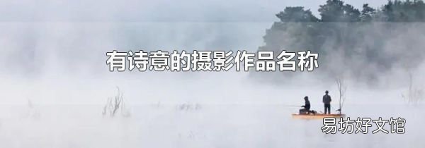 有诗意的摄影作品名称