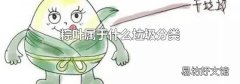 粽叶属于什么垃圾分类