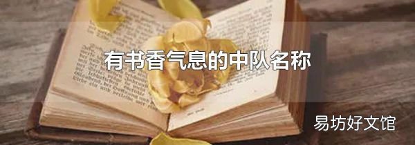 有书香气息的中队名称