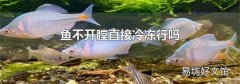 鱼不开膛直接冷冻行吗