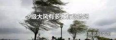 9级大风有多大有危险吗