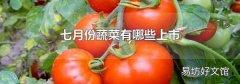 七月份蔬菜有哪些上市