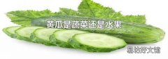 黃瓜是蔬菜還是水果