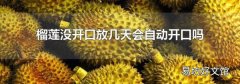 榴莲没开口放几天会自动开口吗