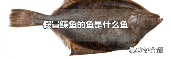 假冒鲽鱼的鱼是什么鱼