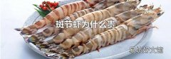 斑节虾为什么贵