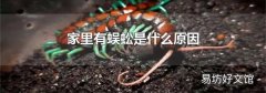 家里有蜈蚣是什么原因
