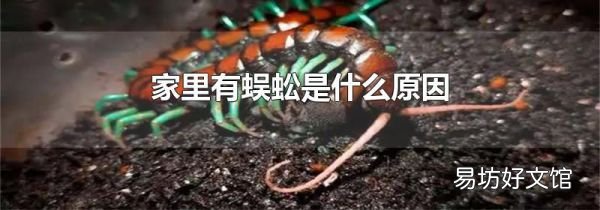 家里有蜈蚣是什么原因